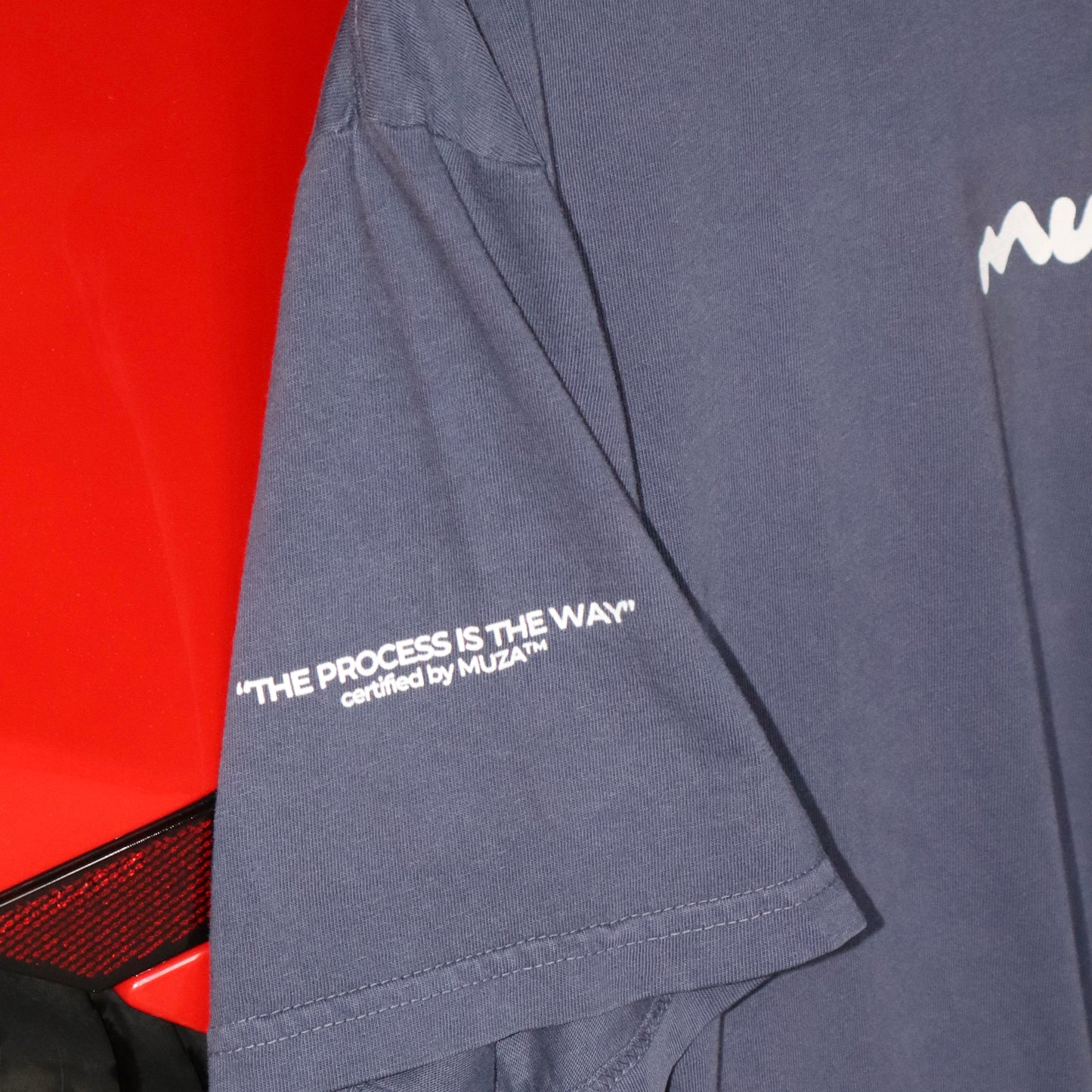 Blueberry Oversized Tee